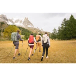 Quechua Sac à Dos De Randonnée Montagne 30L - MH500 -Quechua sac a dos de randonnee montagne 30l mh500 2